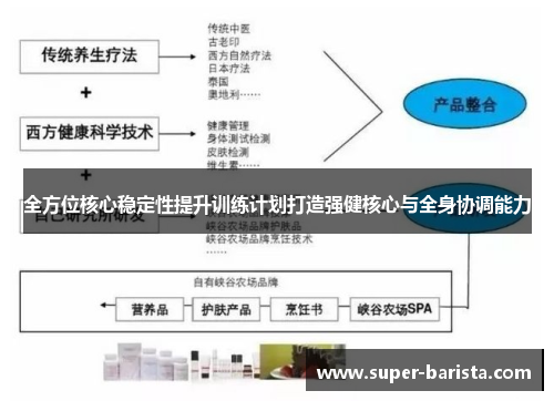 全方位核心稳定性提升训练计划打造强健核心与全身协调能力
