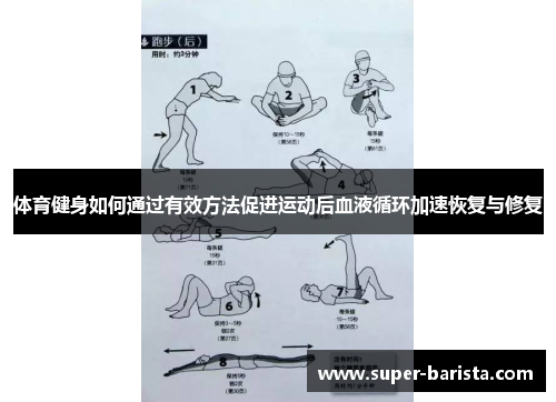 体育健身如何通过有效方法促进运动后血液循环加速恢复与修复