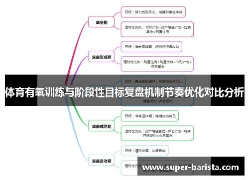 体育有氧训练与阶段性目标复盘机制节奏优化对比分析